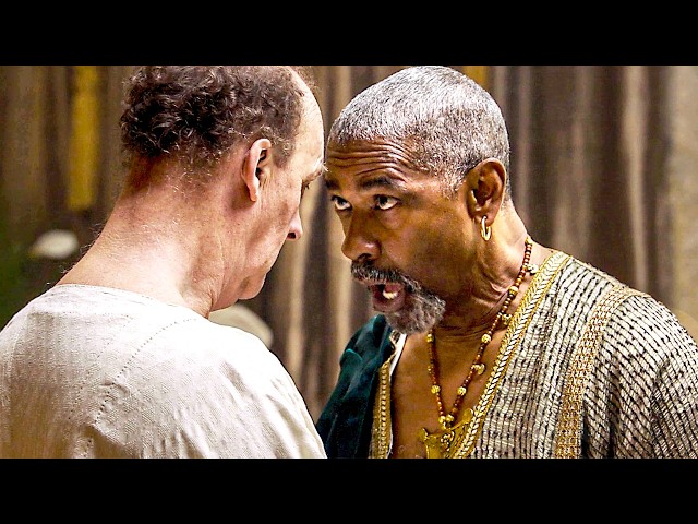 Sharks in the Colosseum Scene | Gladiator 2 | CLIP