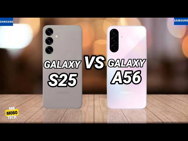 Samsung S25 vs Samsung A56 | Mr Mobo Tech