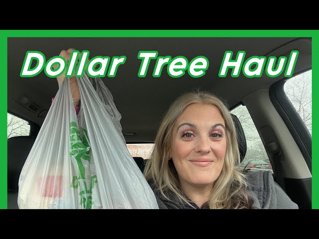 Dollar Tree Haul #haul #dollarshopping #shopping #dollarhaul #dollartreeshopping #dollarstorehaul