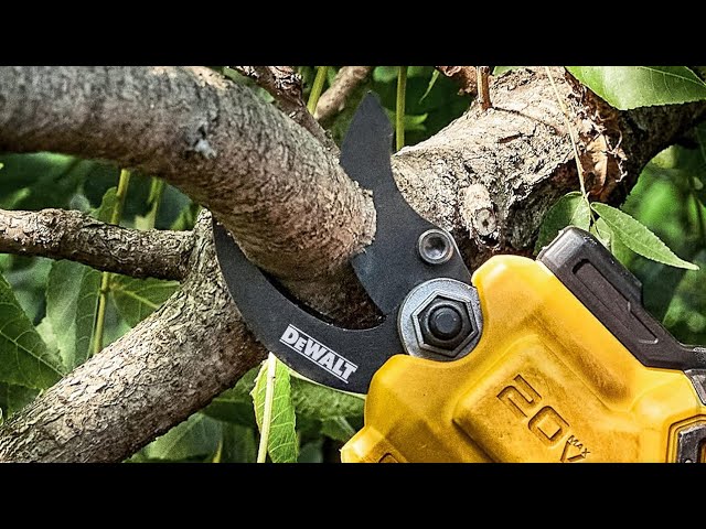 How to Replace the Blade on a DeWalt Power Pruner | Quick & Easy Guide