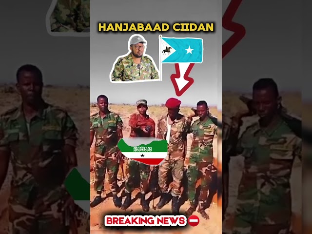 Somaliland oo hanjabaad udirtay dhulbahante iyo warsangeli #wararkiiugudambeeyey #somalinews #degdeg