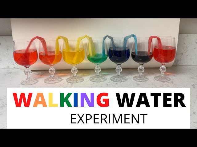 Walking Water Experiment (Rainbow Walking Water)