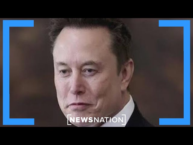 DOGE hearing on Capitol Hill brings scrutiny on Elon Musk from Democrats | NewsNation Now