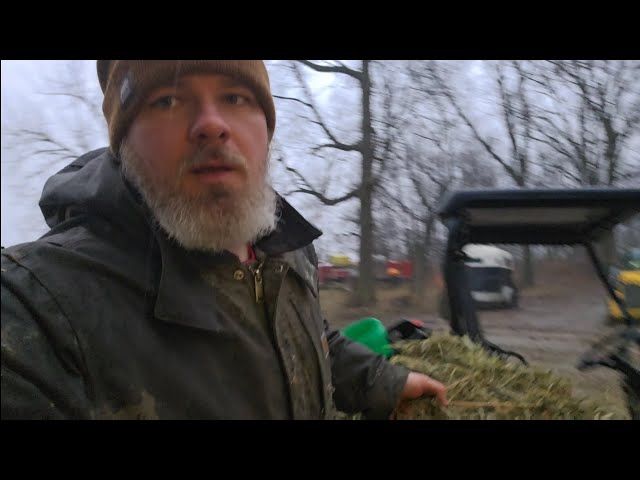 Almost Stuck in the Mud: Finding Hay for the Cows & Homestead Challenges Vlog