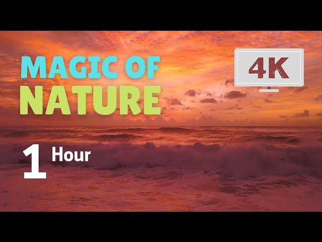 4K Golden Sunset   Nature Relaxation Video   Relaxing Sea Ocean Waves and birds Sounds   NO MUSIC