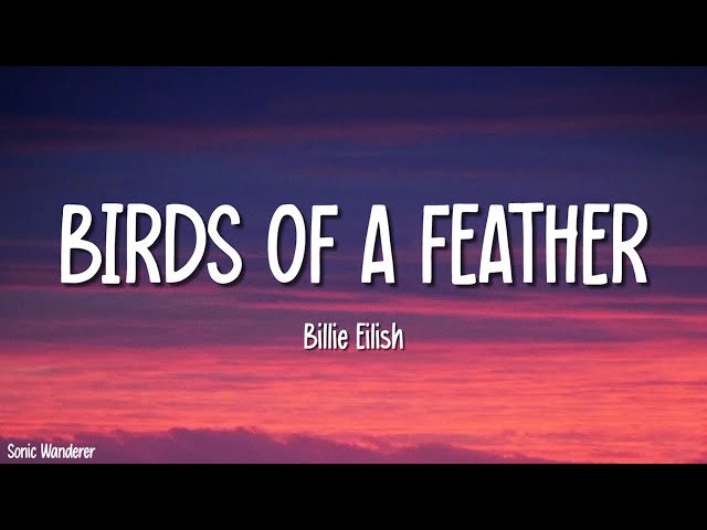 Billie Eilish - BIRDS OF A FEATHER (Lyrics)