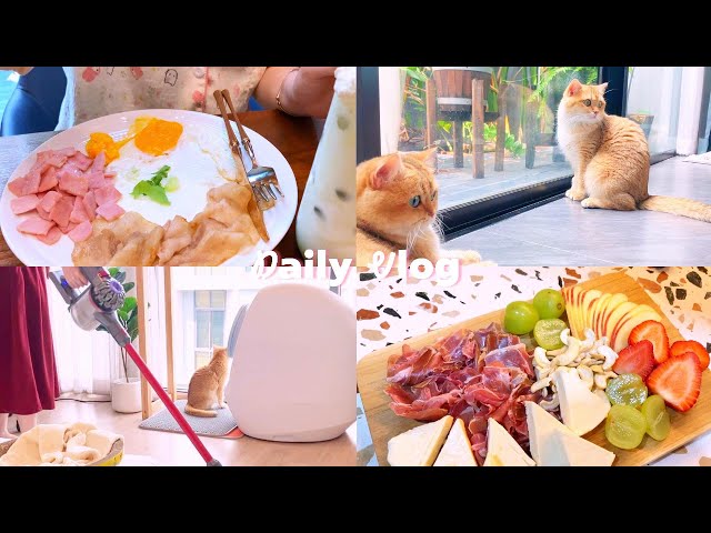 A day in my life with my cat😻💗| Animal Hospital in Thailand🏨| Bathe cats 💦| Cozy day at home vlog 🏡