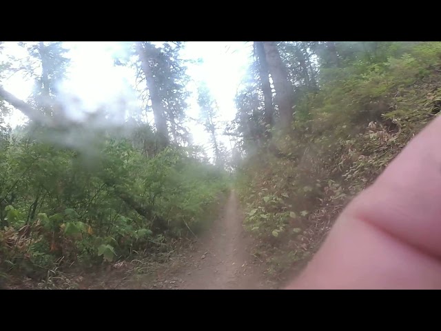 canfield 360 video 8-13-21