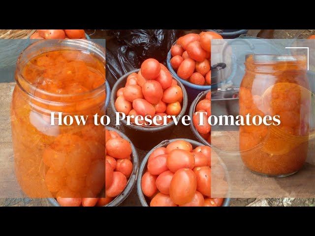 The Best Ways to Preserve Tomatoes (and Stop Wasting Food)