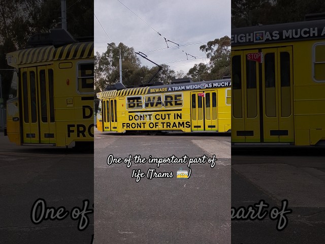 Beware of the TRAMS (🦏) #shorts #travel #trams #citylife #melbourne #australia