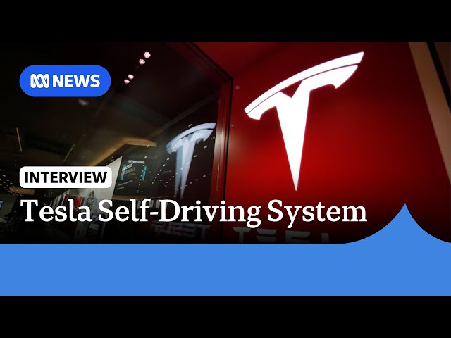 Can Tesla roll-out fully self-driving cars to Europe by 2025? | ABC News