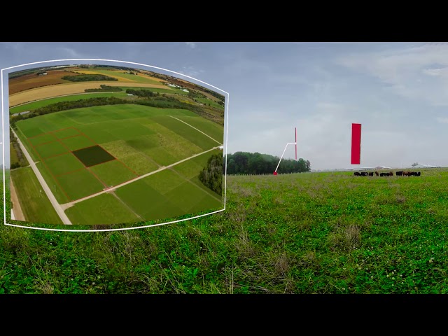 Pasture - Virtual 360º Tour of the Ontario Beef Research Centre