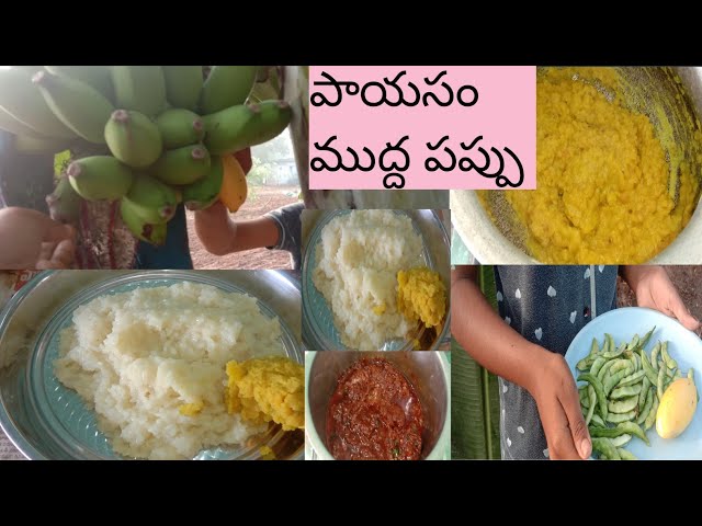 ma ammai adigindhi ani payasam chesina inka mudda pappu tomato chutney #dailyvlog