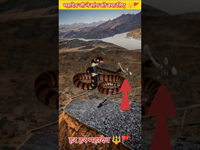 हर हर महादेव 🔱🚩 #shorts #shortsfeed #shortvideo #ytshorts #youtubeshorts #youtubevideo #mahadev