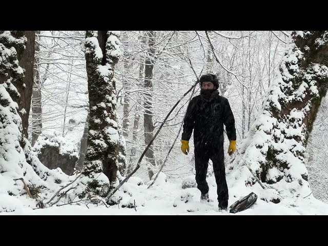 WINTER CAMPING in SNOWSTORM | SOLO OVERNIGHT in the WOODS | cozy ASMR