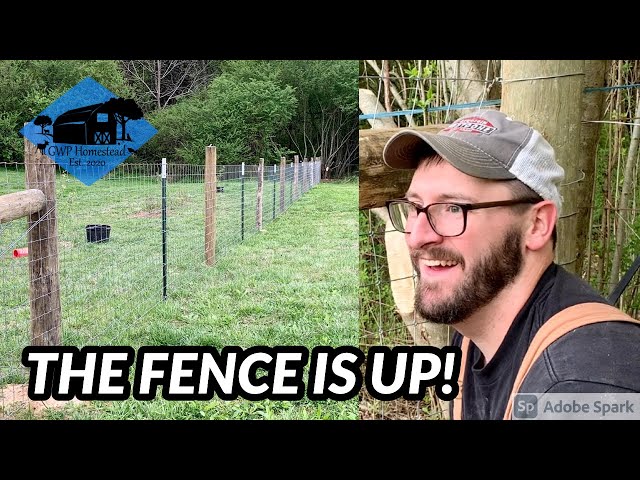 Stretch Woven Wire Fence by Yourself – Tips & Tricks