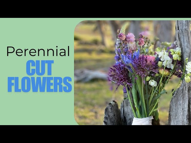 October 2024 spring tour of the flower farm with a focus on perennial cut flowers.