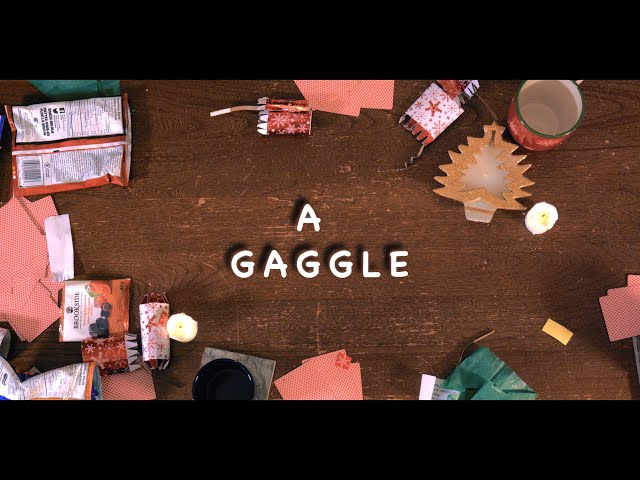 A Gaggle - Short Film