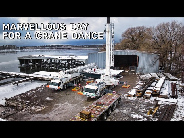 Marvellous Day for a Crane Dance   4K