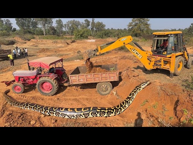 JCB 3dx Backhoe Loading Mud in Mahindra 475 Di tractor JCB miti khudai JCB cartoon #jcb #cartoon