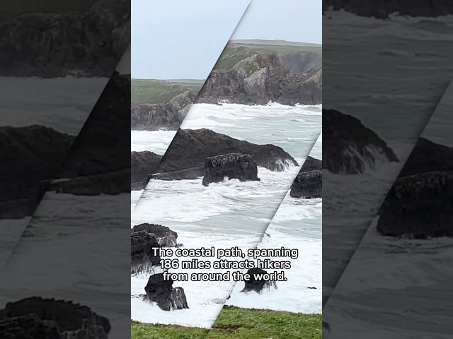 Pembrokeshire Coast Wales | Stunning Scenery #youtubeshorts #youtubegrowth #shorts #viralshorts