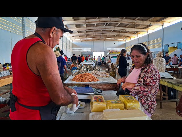 DENTRO DO MERCADO PÚBLICO!!!*parte03*