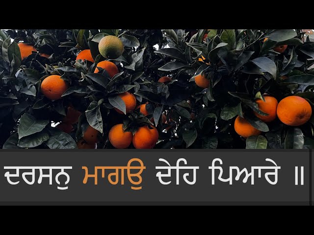 ਦਰਸਨੁ ਮਾਗਓ ਦੇਹ ਪਿਆਰੇ|| AKJ shabad