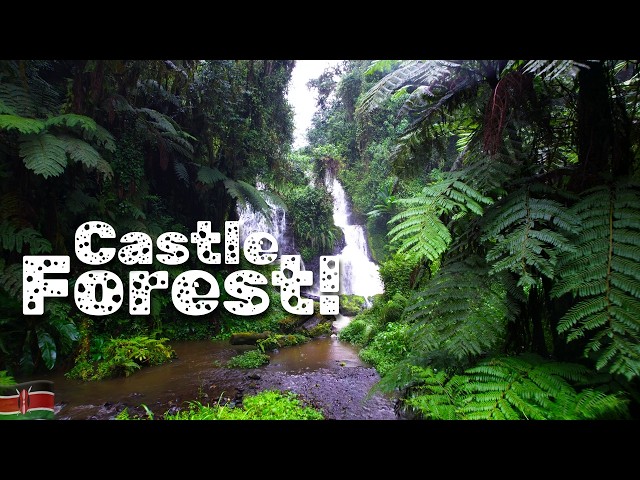 🇰🇪 Castle Forest!!  Solo camping | roadtrip | adventure | views