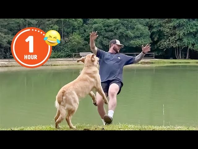 FUNNIEST Pets of 2024...So Far 😂 | BEST Compilation