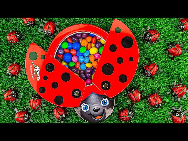 Satisfying ASMR Mixing Rainbow Candy & DIY Slime, Colorful Fruit & Rainbow Ladybug Full of Bead, M&M