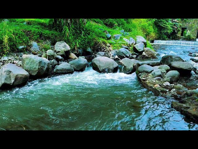 Mountain stream flowing, Forest river stream, Flowing water, white noise for sleeping