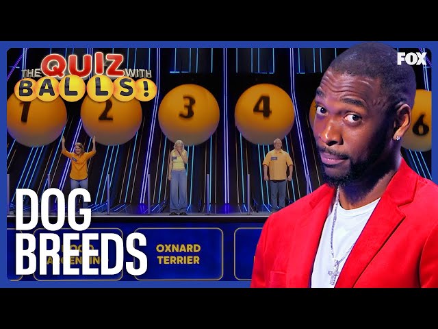 Which of These Are REAL Dog Breeds? | The Quiz With Balls!