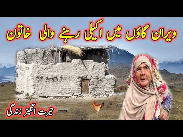 Life Of A Grand Mother Alone in The Mountains Of Gilgit Baltistan | Very Hard Lifestyle | Pakistan