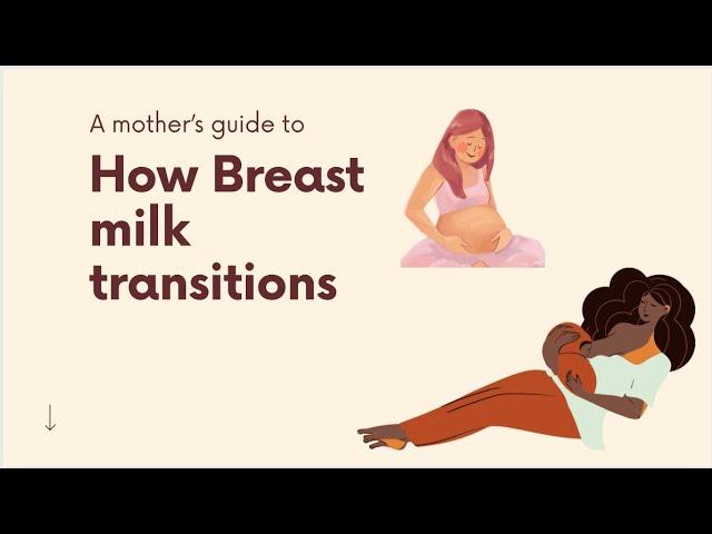 A Mother's Guide to the Transition of Breast Milk