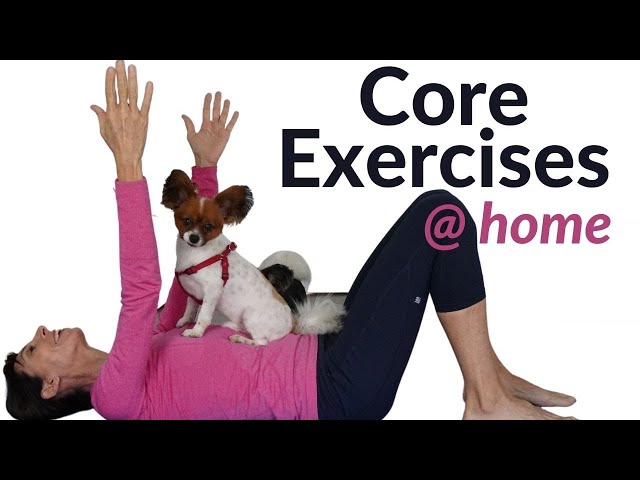 Easy Core Exercises for Beginners-Intermediate Home Routine (20 Minutes)