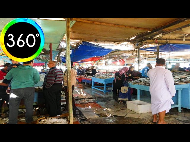 360° VR Fish Market Hurghada Egypt Visit Tour Walking All Tasty Fishes 5K 3D Virtual Reality HD 4K