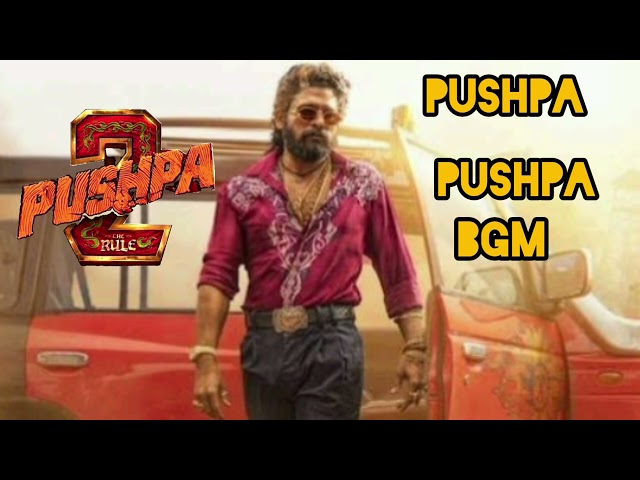 pushapa pushapa bgm | new bgm | pushpa 2 #pushpa2 #pushpa2song#bgm