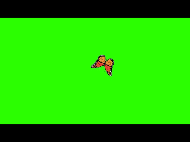 Single Butterfly 🦋 green screen animation | Butterfly flying on screen | flying butter fly