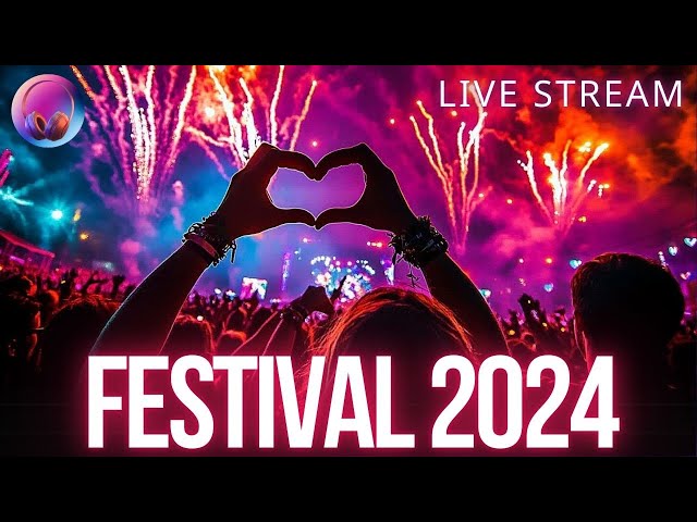 The 4 Electro House Music Secrets to Make Your Festival Mix 2025 Unstoppable