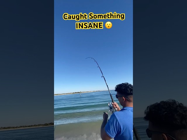 Caught Something INSANE! #saltwaterlife #saltwaterlife #fishing #octopus #atlanticocean