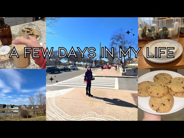 VLOG: WEDDING DECOR, cupcakes and falling in DC