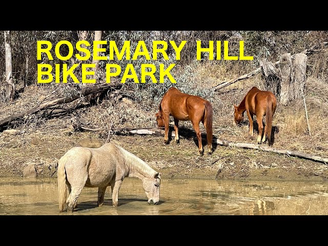 Rosemary Hill bike park