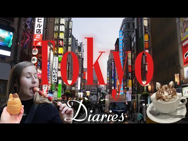 Tokyo Diaries | Tsukiji Market, DisneySea + Fantasy Springs, Shinjuku, Shibuya & Harajuku