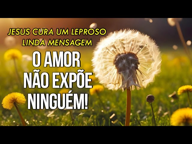 O Amor Não Expõe Ninguém! A Cura do Leproso! Mensagem do Dia