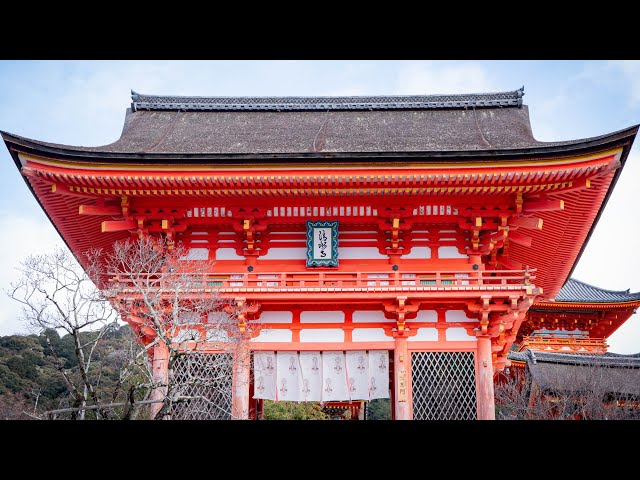 20250313-0314 京都一日游｜三岛站｜百年鳗鱼饭｜清水寺｜二年坂｜三年坂｜海鲜市场｜京都车站｜柚子omakase｜新干线｜Hotel Clad