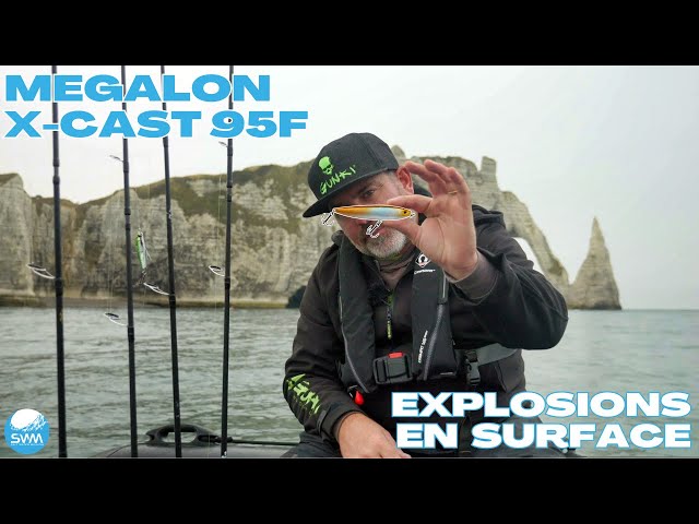 MEGALON XCAST 95F: SEA BASS madness!