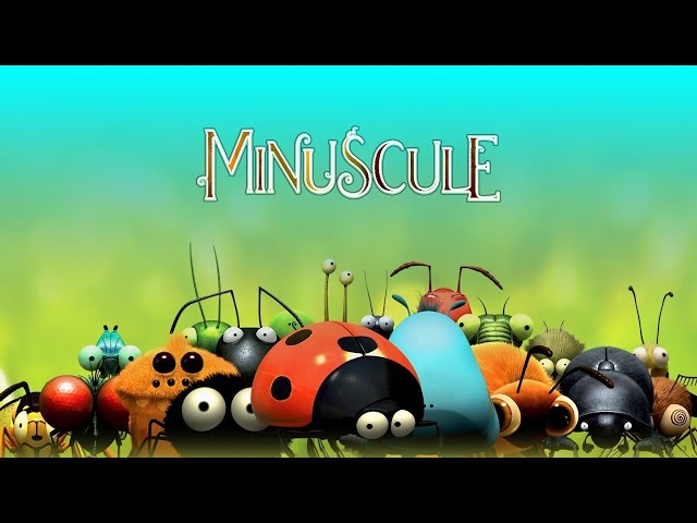 Minuscule: 2006 - TIRE AU Flanc | 1440p - #38