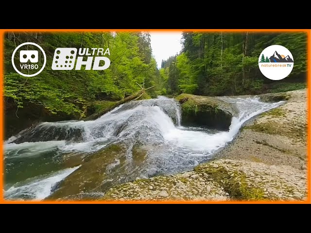 LISTEN to the WATERFALL - A REFRESHING VR180 nature meditation