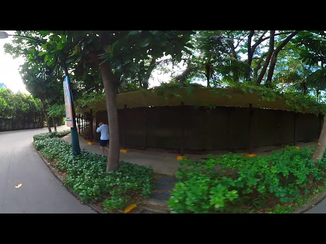 [4K HDR] 360-Movie - Cycling in Sentosa