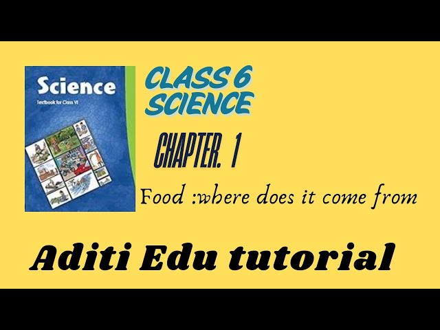 class 6 SCIENCE chapter 1 PART 2